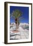 Promenade on Seaside, Sitia, Eastern Crete, Crete, Greek Islands, Greece, Europe-Markus Lange-Framed Photographic Print