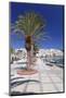 Promenade on Seaside, Sitia, Eastern Crete, Crete, Greek Islands, Greece, Europe-Markus Lange-Mounted Photographic Print