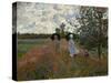 Promenade pres d'Argenteuil, 1873. Canvas,60 x 81 cm Inv.5332.-Claude Monet-Stretched Canvas