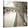 Promenade Seine II-Alan Blaustein-Stretched Canvas