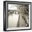 Promenade Seine II-Alan Blaustein-Framed Photographic Print