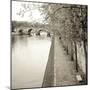 Promenade Seine II-Alan Blaustein-Mounted Photographic Print