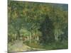 Promenaders, Jardin Du Poete, Arles, 1888-Vincent van Gogh-Mounted Giclee Print