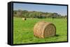 Prominent Single Haystack-Wolterk-Framed Stretched Canvas