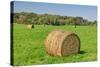 Prominent Single Haystack-Wolterk-Stretched Canvas