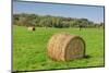 Prominent Single Haystack-Wolterk-Mounted Photographic Print