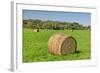 Prominent Single Haystack-Wolterk-Framed Photographic Print