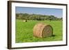 Prominent Single Haystack-Wolterk-Framed Photographic Print