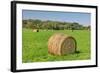 Prominent Single Haystack-Wolterk-Framed Photographic Print
