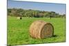 Prominent Single Haystack-Wolterk-Mounted Photographic Print