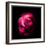 Promise In Love-Philippe Sainte-Laudy-Framed Photographic Print