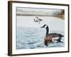 Promise of Spring-Rusty Frentner-Framed Giclee Print