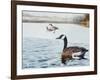 Promise of Spring-Rusty Frentner-Framed Giclee Print