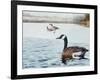 Promise of Spring-Rusty Frentner-Framed Giclee Print