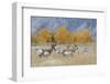 Pronghorn antelope autumn on the high plains.-Ken Archer-Framed Photographic Print