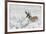 Pronghorn Antelope buck-Ken Archer-Framed Photographic Print