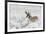 Pronghorn Antelope buck-Ken Archer-Framed Photographic Print