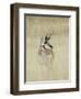 Pronghorn Antelope, Male, Yellowstone National Park, Wyoming, USA-Rolf Nussbaumer-Framed Premium Photographic Print