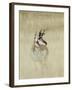 Pronghorn Antelope, Male, Yellowstone National Park, Wyoming, USA-Rolf Nussbaumer-Framed Photographic Print