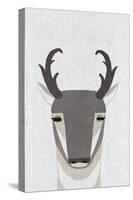 Pronghorn Antelope-Annie Bailey Art-Stretched Canvas