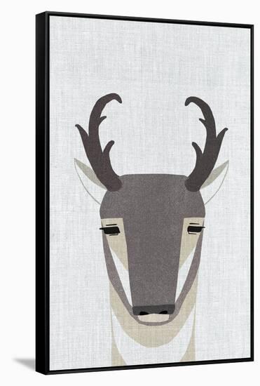 Pronghorn Antelope-Annie Bailey Art-Framed Stretched Canvas