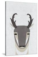 Pronghorn Antelope-Annie Bailey Art-Stretched Canvas