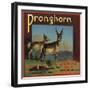 Pronghorn Brand - Upland, California - Citrus Crate Label-Lantern Press-Framed Art Print