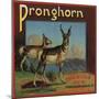 Pronghorn Brand - Upland, California - Citrus Crate Label-Lantern Press-Mounted Art Print