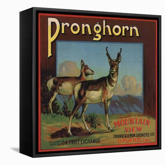 Pronghorn Brand - Upland, California - Citrus Crate Label-Lantern Press-Framed Stretched Canvas