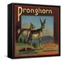 Pronghorn Brand - Upland, California - Citrus Crate Label-Lantern Press-Framed Stretched Canvas