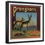 Pronghorn Brand - Upland, California - Citrus Crate Label-Lantern Press-Framed Premium Giclee Print