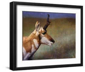 Pronghorn-Chris Vest-Framed Art Print