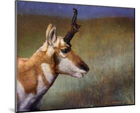 Pronghorn-Chris Vest-Mounted Art Print