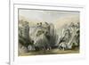 Proof Sword Rock-Thomas Allom-Framed Premium Giclee Print