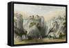 Proof Sword Rock-Thomas Allom-Framed Stretched Canvas