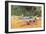 Prop Plane on Landing Strip in Jungle-null-Framed Art Print