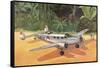 Prop Plane on Landing Strip in Jungle-null-Framed Stretched Canvas