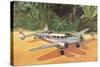 Prop Plane on Landing Strip in Jungle-null-Stretched Canvas