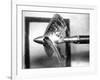 Propeller Cavitation-National Physical Laboratory-Framed Photographic Print