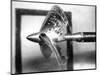 Propeller Cavitation-National Physical Laboratory-Mounted Photographic Print