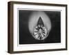 Propeller in Altitude Wind Tunnel-null-Framed Photographic Print