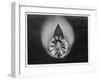 Propeller in Altitude Wind Tunnel-null-Framed Photographic Print