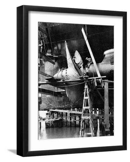 Premium Photographic Print, , large