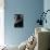 Properly-Sebastian Black-Photo displayed on a wall