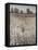 Property Line-Tim O'toole-Framed Stretched Canvas