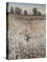 Property Line-Tim O'toole-Stretched Canvas