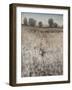 Property Line-Tim O'toole-Framed Giclee Print