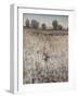 Property Line-Tim O'toole-Framed Giclee Print