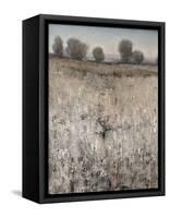 Property Line-Tim O'toole-Framed Stretched Canvas