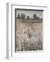 Property Line-Tim O'toole-Framed Giclee Print